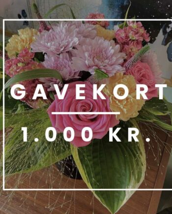 Blomstergavekort 000 Send Blomster Med Bloomit