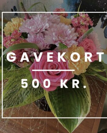 Blomstergavekort 500 Send Blomster Med Bloomit
