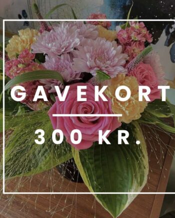 Blomstergavekort 300 Send Blomster Med Bloomit