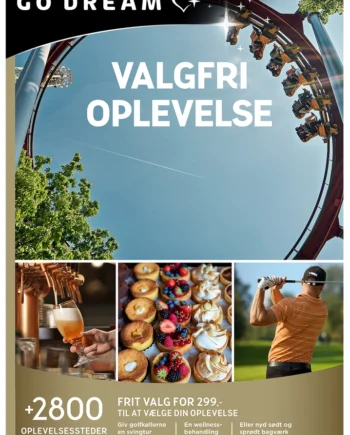 Dream Valgfri Oplevelse 299