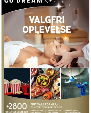 Dream Valgfri Oplevelse 499