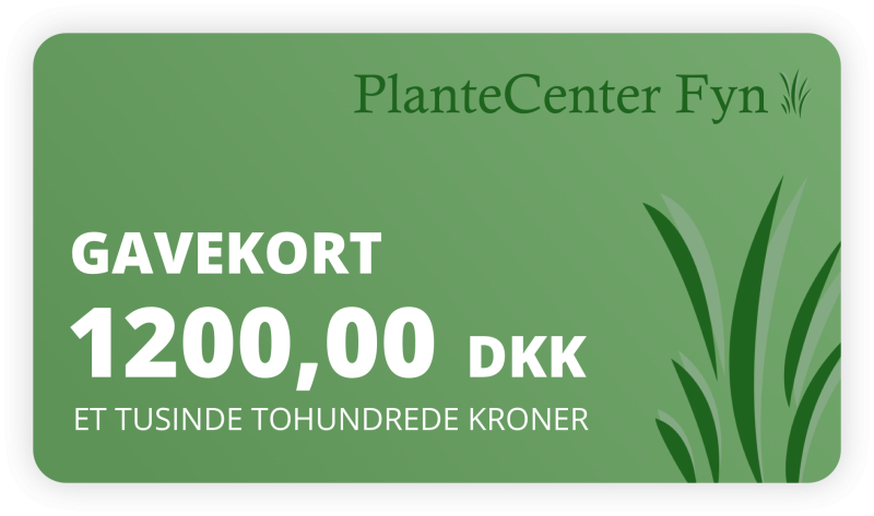 Gavekort 1200
