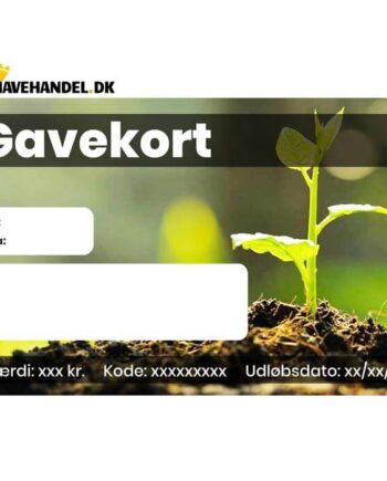 Gavekort 4500