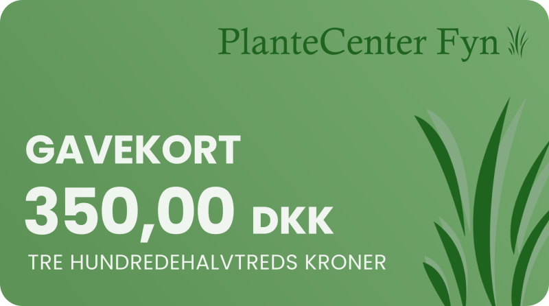 Gavekort 350