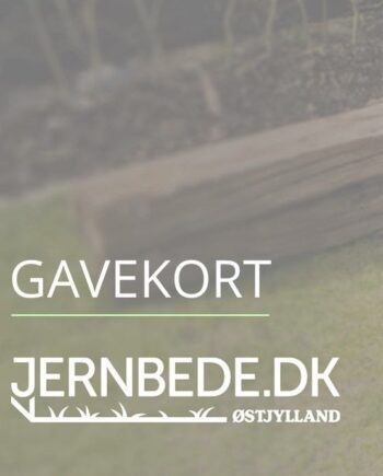 Gavekort Til Jernbede 300