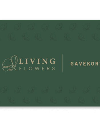 Gavekort Via Email
